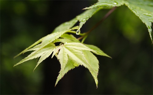 苏州四院生孩子怎么样，我也不小了但是就是生不了孩子真是烦人请问苏州有好的医院吗