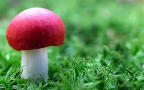 口腔疼是怎么引起的，口腔内很疼痛 什么原因